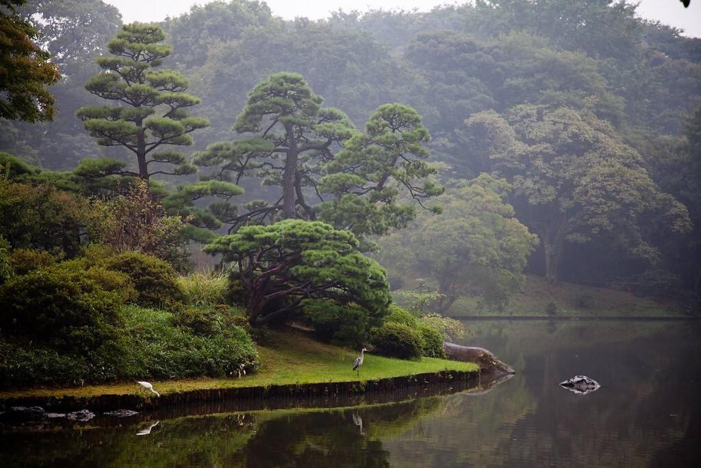 Tora Hotel Tokyo-Rikugienn 寅ホテル 六義園 A 外观 照片